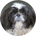 Jill S. profile picture